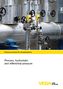 Process, hyrdostatic and differential pressure